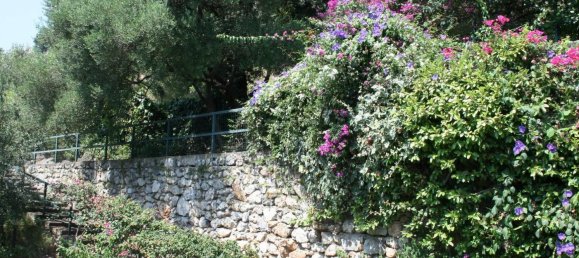 12 rooms Villa in Maratea, Italy No. 105272 6