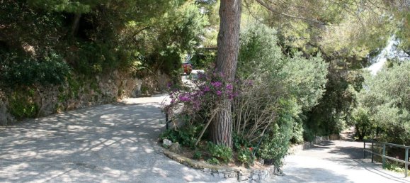 12 rooms Villa in Maratea, Italy No. 105272 5