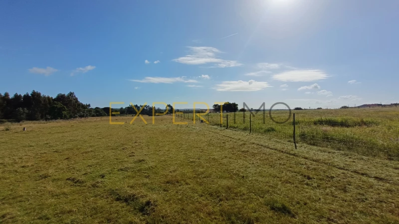 Земельный участок 29457м² в Канья, Португалия № 90244