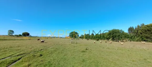 Земельный участок 29457м² в Канья, Португалия № 90244 2