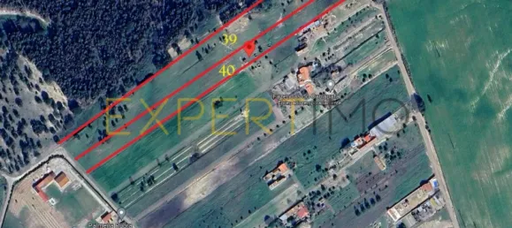 Земельный участок 29457м² в Канья, Португалия № 90244 8