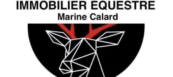 Замки и поместья с 3 спальнями в Вильнёв-сюр-Ло, Франция № 333264 2