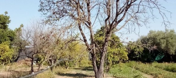 2 bedrooms House in Andalusia, Spain No. 168404 30