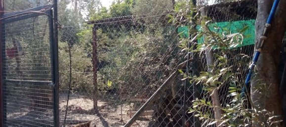 2 bedrooms House in Andalusia, Spain No. 168404 28