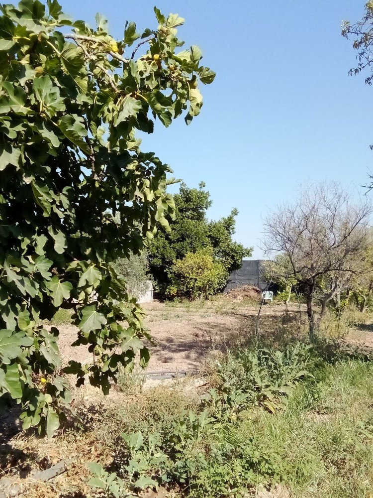 2 bedrooms House in Andalusia, Spain No. 168404