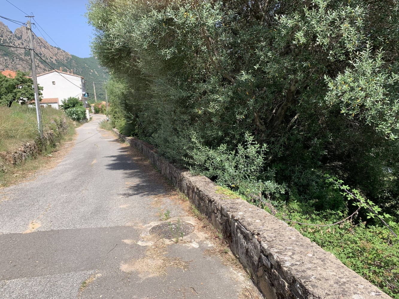  Land in Conca, France No. 90391