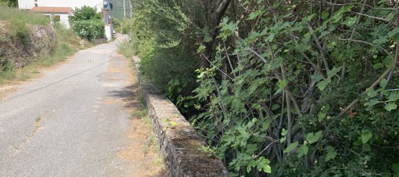  Land in Conca, France No. 90391 6