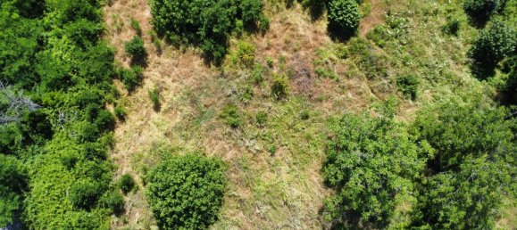 Terreno de 1 habitación en Casali del Manco, Italy No. 149771 13