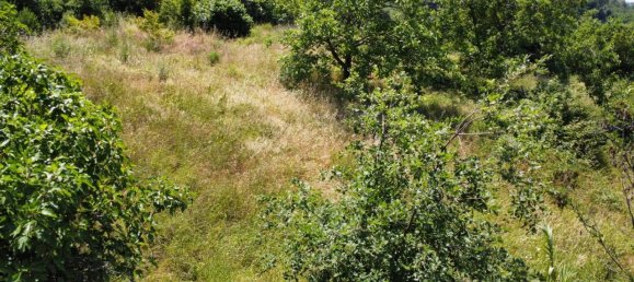 Terreno de 1 habitación en Casali del Manco, Italy No. 149771 12