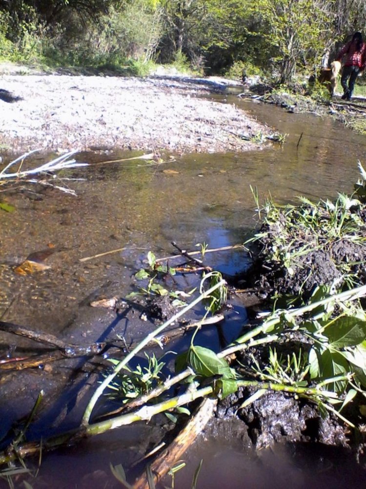  Farm in Cordoba, Argentina No. 31890