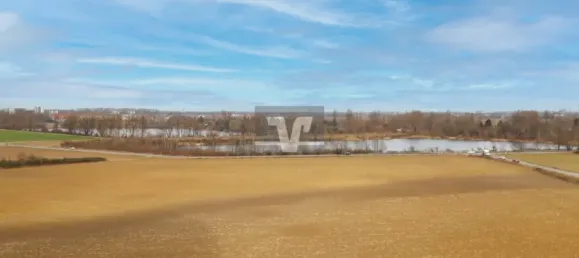 4-Zimmer Wohnung in Ludwigshafen am Rhein, Germany, Nr. 26399 3