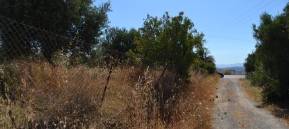 Hotel in Hersonissos, Greece 2420m², Nr. 4718 4