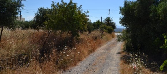 Hotel in Hersonissos, Greece 2420m², Nr. 4718 5