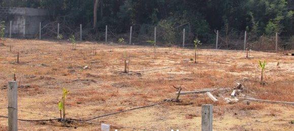 1560m² Commercial property in Pattaya, Thailand No. 16066 4