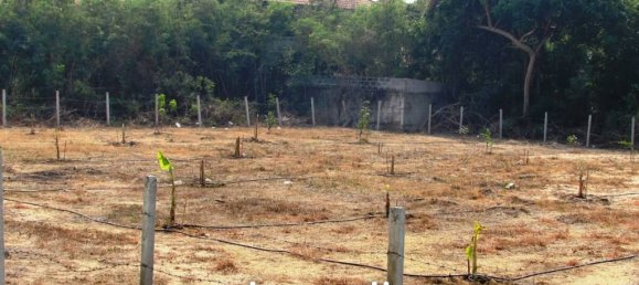 1560m² Commercial property in Pattaya, Thailand No. 16066 5