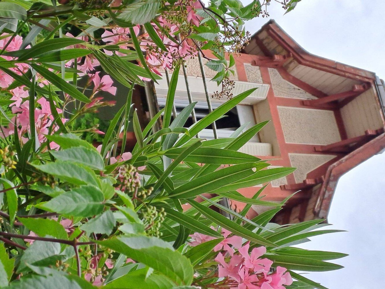 Studio in Le Mee-sur-Seine, France, Nr. 330614