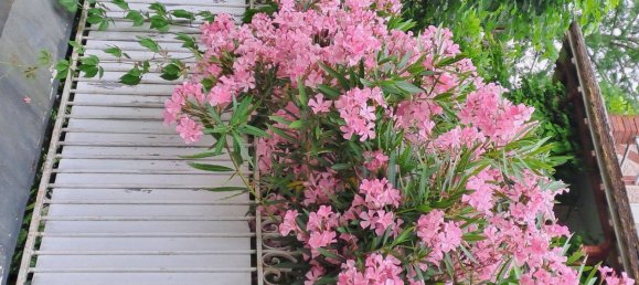 Studio in Le Mee-sur-Seine, France, Nr. 330614 3