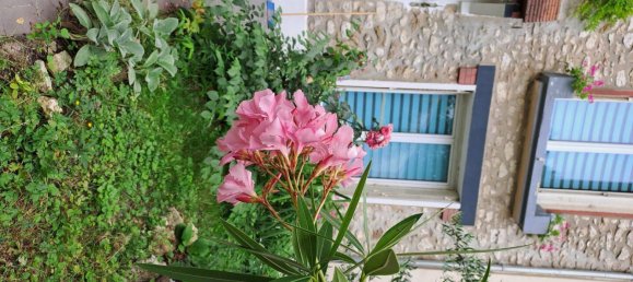 Studio in Le Mee-sur-Seine, France, Nr. 330614 2