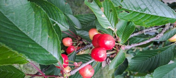 Studio in Le Mee-sur-Seine, France, Nr. 330614 5