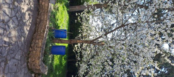 Studio in Le Mee-sur-Seine, France, Nr. 330614 4