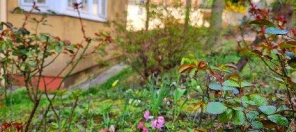 2 rooms Apartment in Ottakring, Austria No. 143175 5