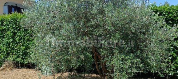 4 bedrooms Villa in Avellino, Italy No. 151380 28