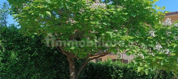 4 bedrooms Villa in Avellino, Italy No. 151380 31