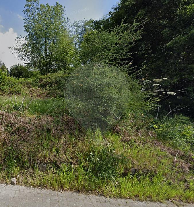 Terreno em Freamunde, Portugal N.º 218629