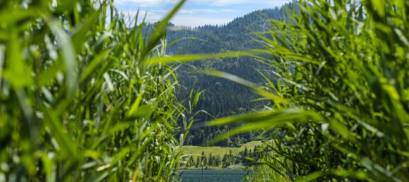 751m² Land in Weissensee, Austria No. 126985 13