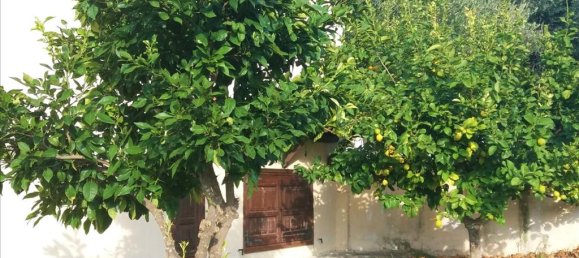 6 غرف نوم عقار تجاري في Chalkidiki, Greece رقم 5114 18