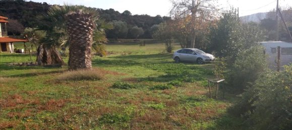 6 غرف نوم عقار تجاري في Chalkidiki, Greece رقم 5114 7