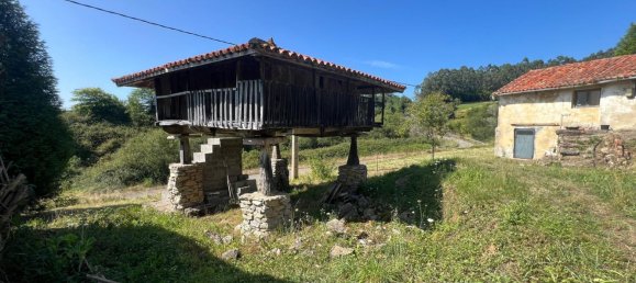 Grundstück in Soto del Barco, Spain, Nr. 178308 2