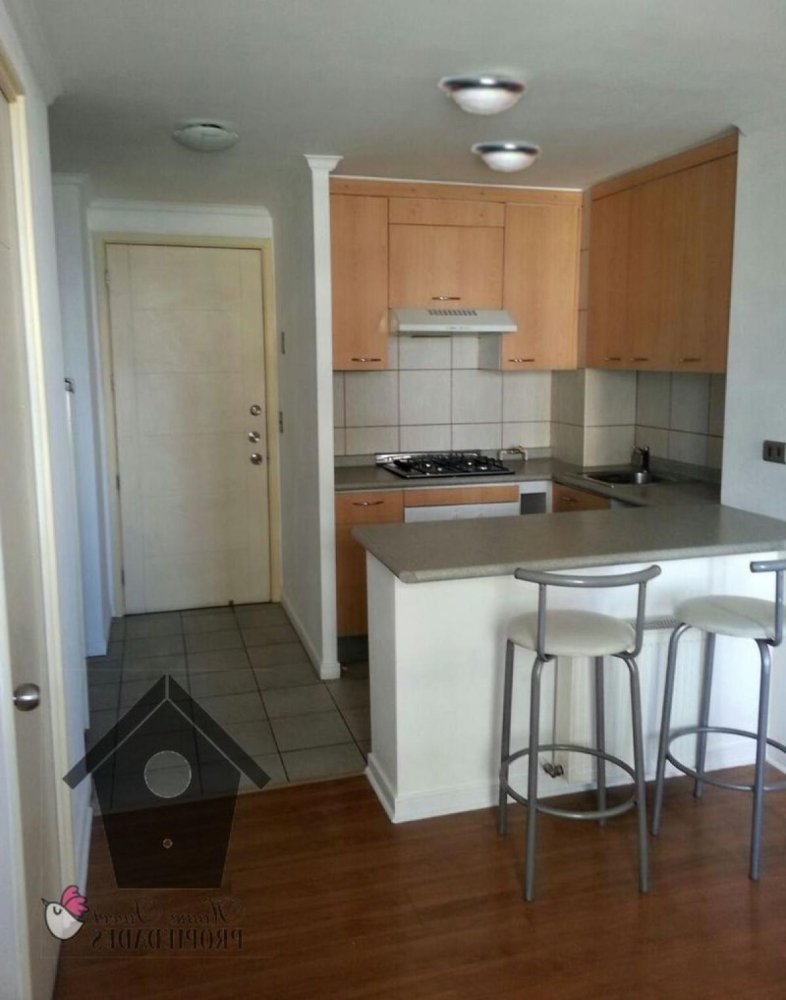 Studio in Santiago, Chile No. 4561