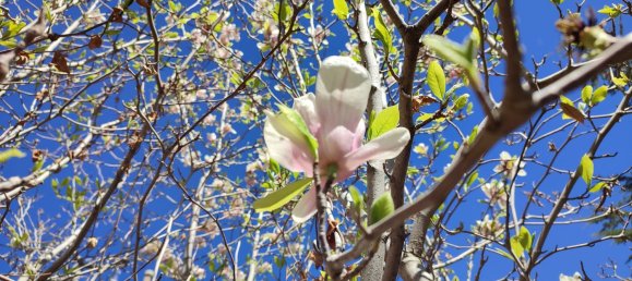 6 chambres Maison à Barcelona, Spain No. 170671 15
