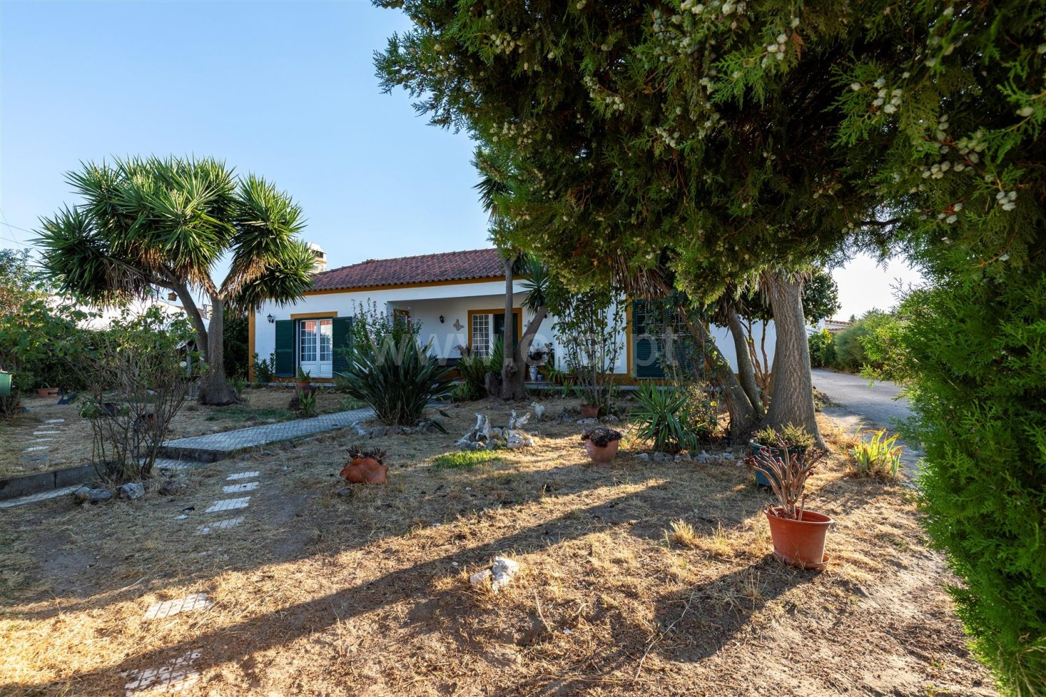 5 Schlafzimmer Haus in Santa Margarida da Coutada, Portugal, Nr. 314334