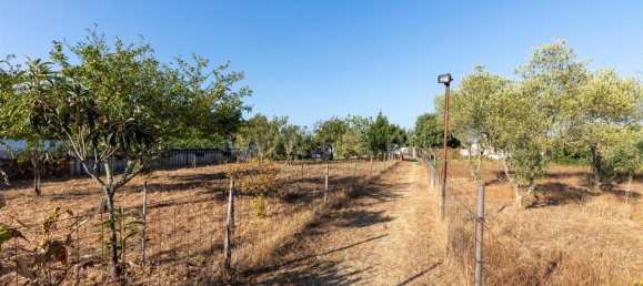 5 Schlafzimmer Haus in Santa Margarida da Coutada, Portugal, Nr. 314334 15