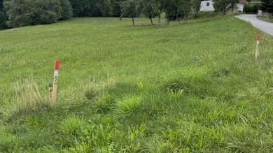 Terrain à Pinkafeld, Austria No. 103166