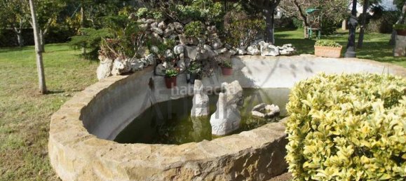 Casa de 3 dormitorios en Menorca, Spain No. 81041 26