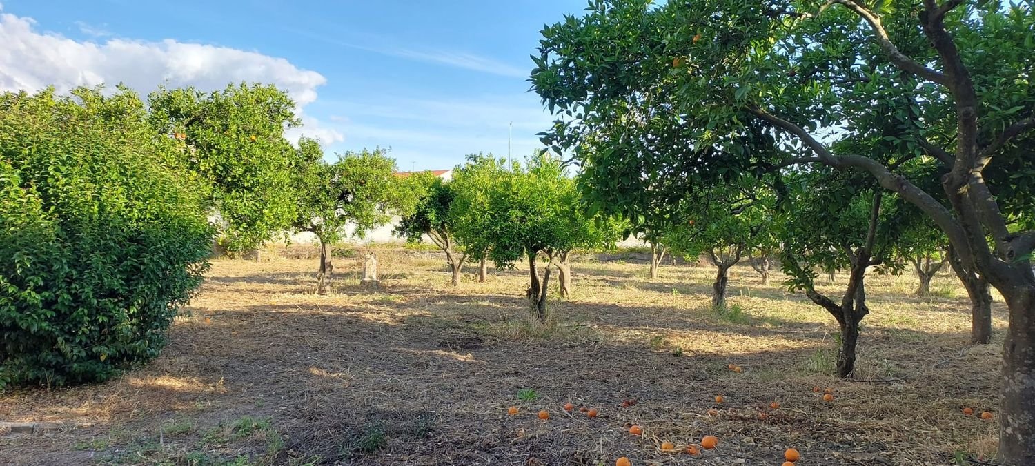 9 Schlafzimmer Haus in Serpa, Portugal, Nr. 32172