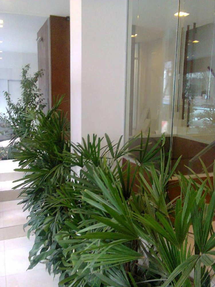 2 bedrooms Apartment in Mar del Plata, Argentina No. 91039