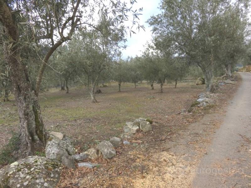 Terrain à Tarouca, Portugal 1580m² No. 310677