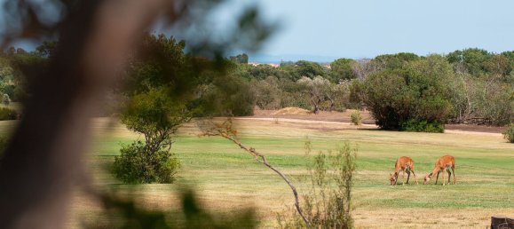 Квартира с 4 спальнями в Пула, Италия № 328909 26