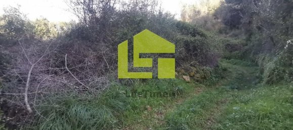 14000m² Land in Coimbra, Portugal No. 70945 13