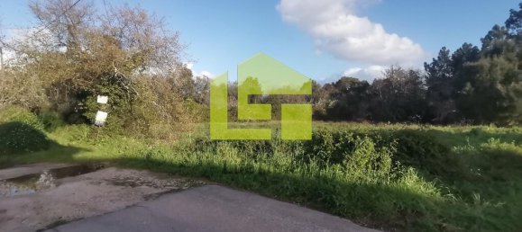 14000m² Land in Coimbra, Portugal No. 70945 6