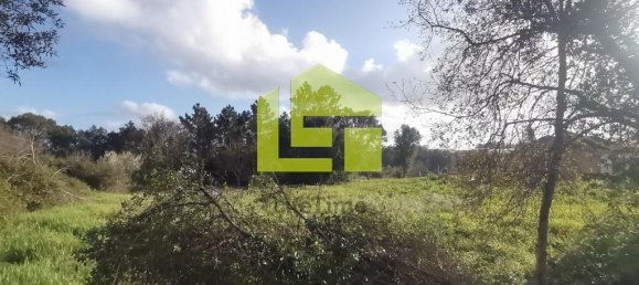 14000m² Land in Coimbra, Portugal No. 70945 9