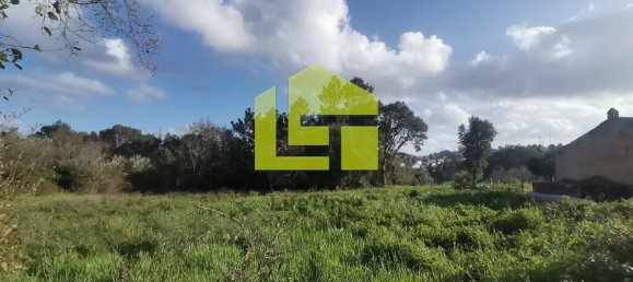 14000m² Land in Coimbra, Portugal No. 70945 7