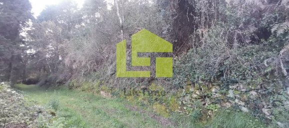 14000m² Land in Coimbra, Portugal No. 70945 11