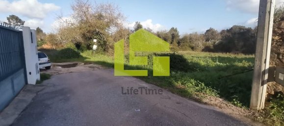 14000m² Land in Coimbra, Portugal No. 70945 5