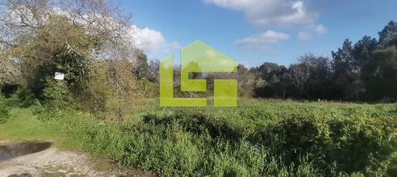 14000m² Land in Coimbra, Portugal No. 70945 3