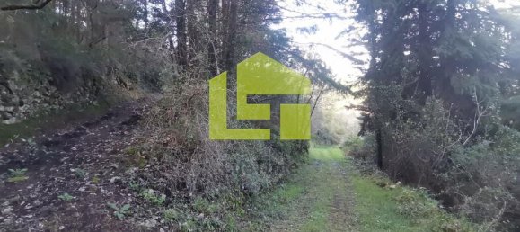 14000m² Land in Coimbra, Portugal No. 70945 12